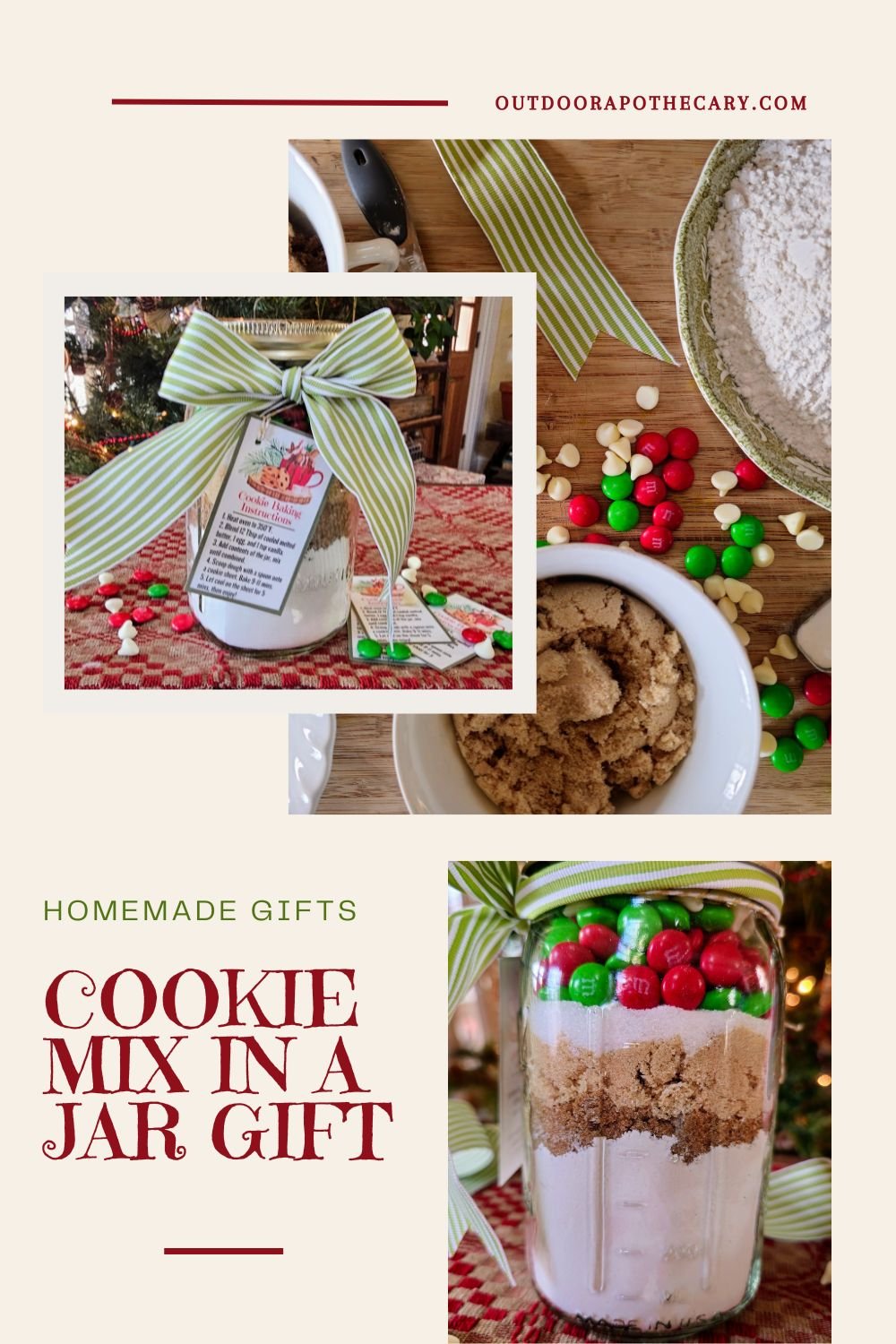 The Outdoor Apothecary Christmas Cookies in a Jar