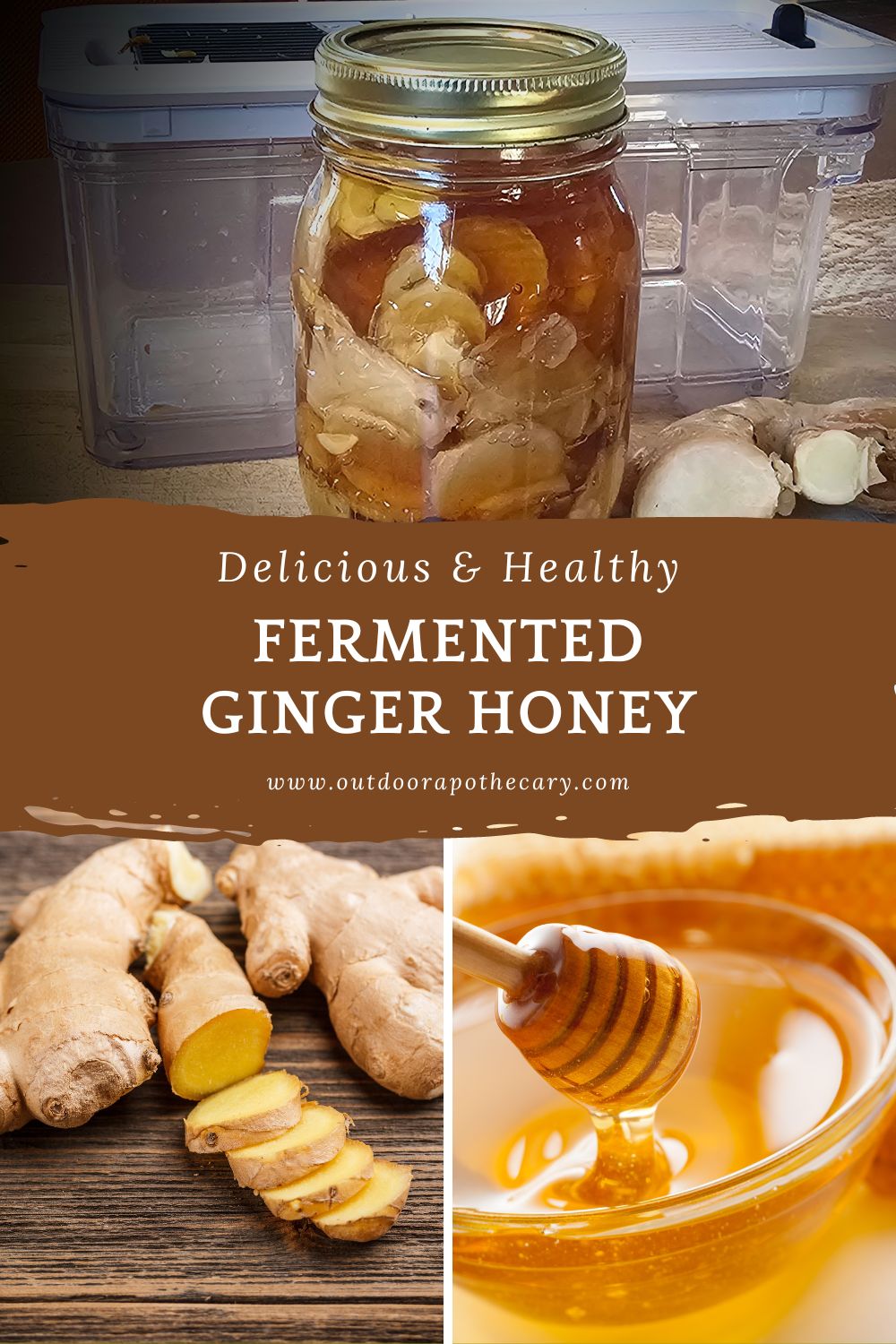 Fermented Ginger Honey Recipe and Easy Instructions