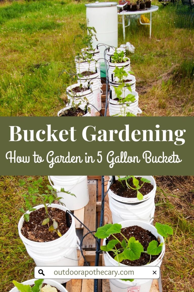 The Ultimate Bucket Garden Guide: Small Space, Big Harvest - The ...