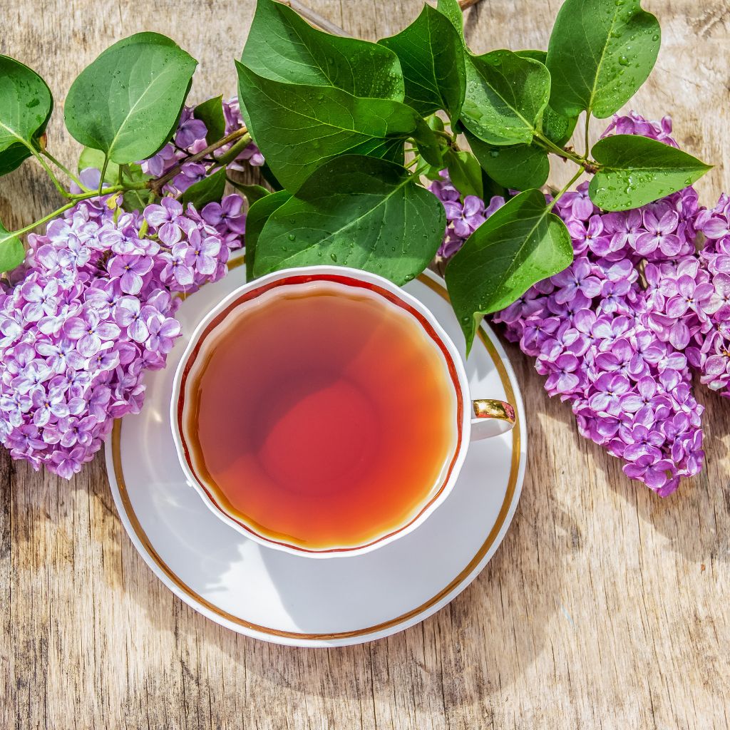 The Outdoor Apothecary a tea cup with tea in it and lilacs on a wood surface - health benefits of lilacs
