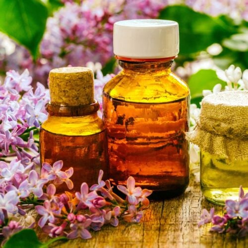 The Outdoor Apothecary Lilac oil in small glass bottles and lilac flowers on a wood surface - health benefits of lilacs