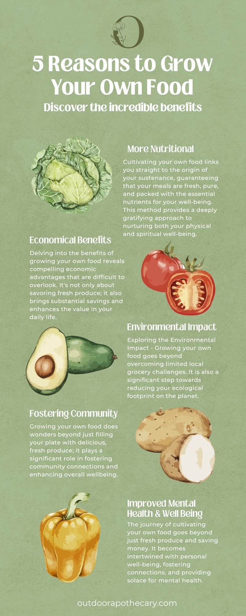 The Outdoor Apothecary 5 reasons to grow your own food infographic