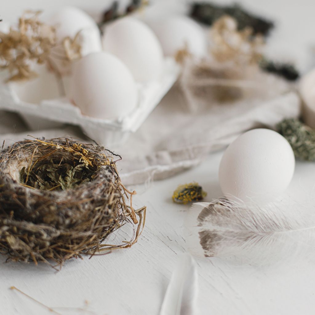 The Outdoor Apothecary Ostara traditions