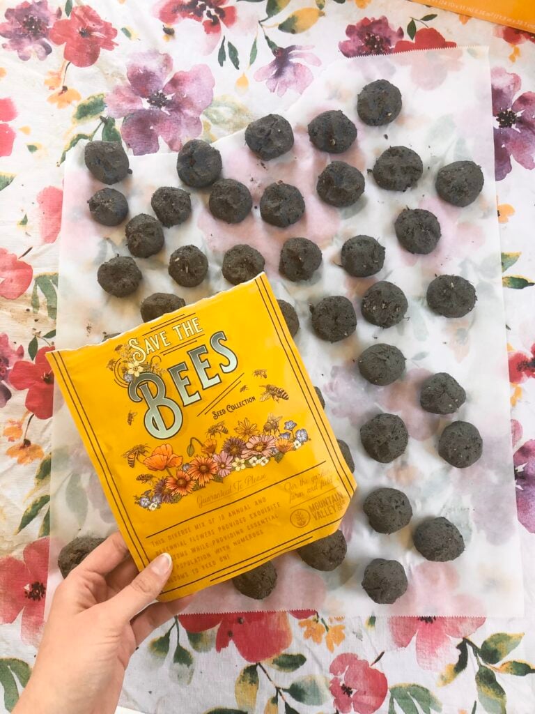 The Outdoor Apothecary DIY seed bombs