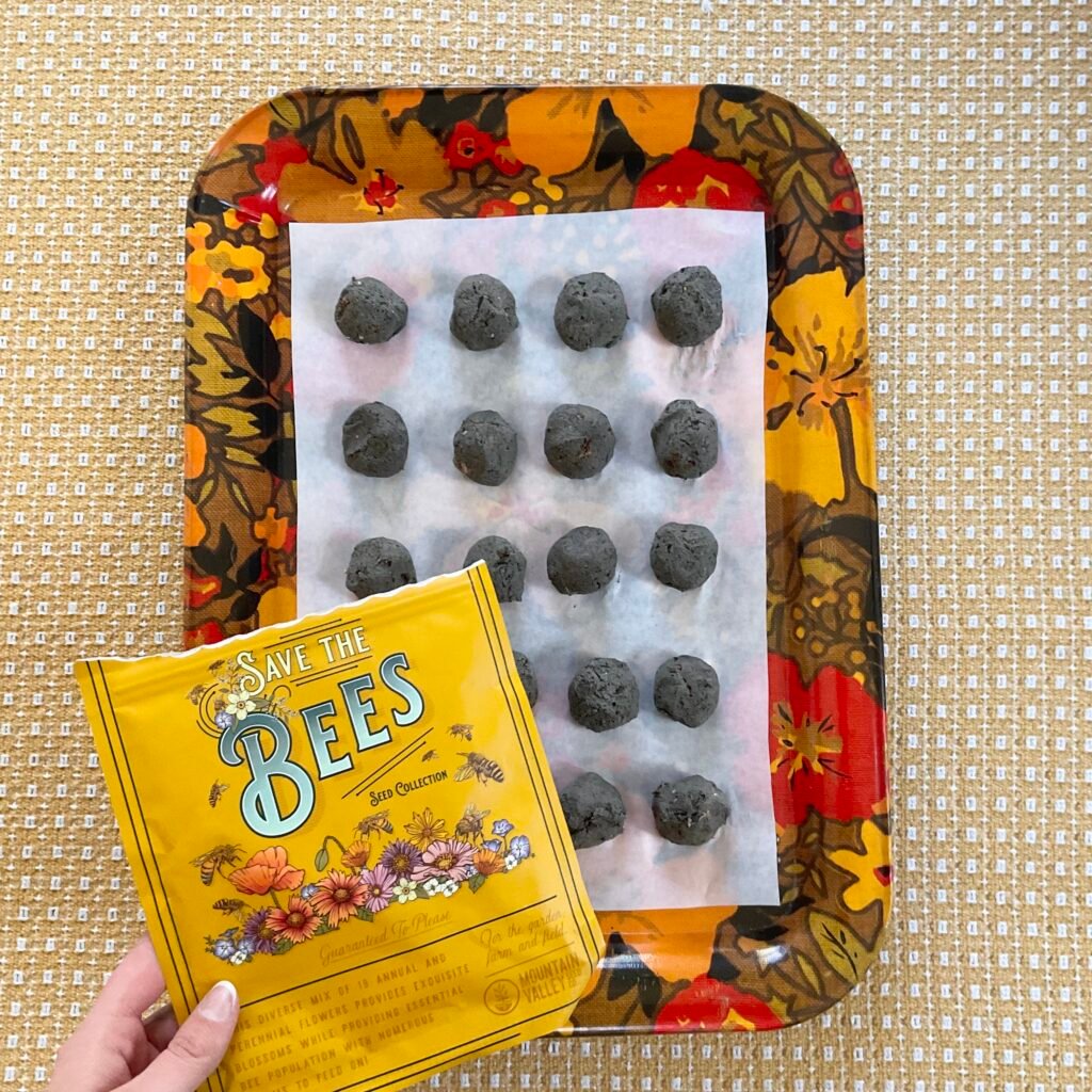 DIY seed bombs