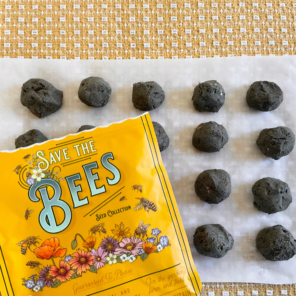 The Outdoor Apothecary DIY seed bombs save the bees seed mix