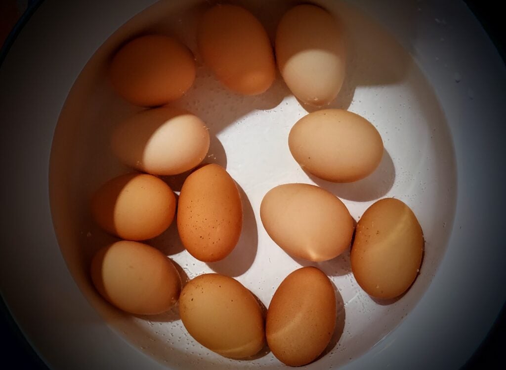 pickled eggs recipe
