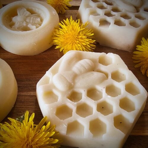 dandelion lotion bars