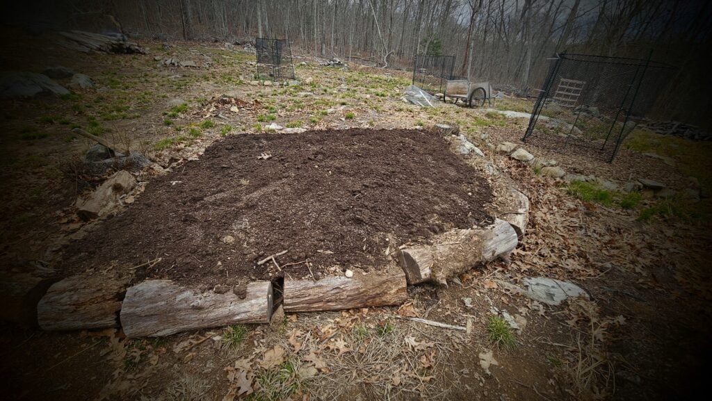 The Outdoor Apothecary hugelkultur bed for companion planting asparagus and strawberries