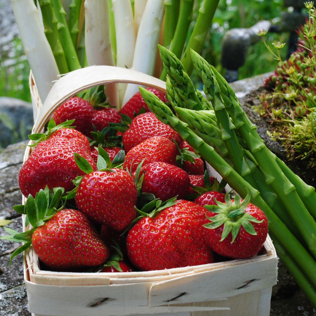 asparagus and strawberries