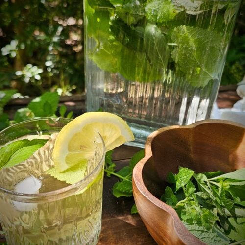 mint and lemon balm iced tea