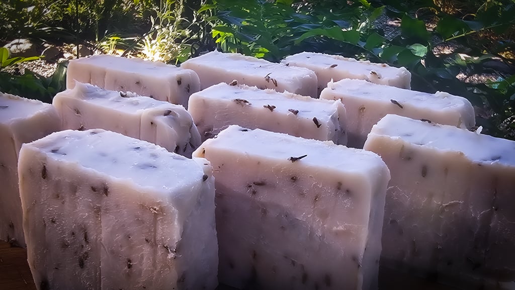 The Outdoor Apothecary lavender soap making