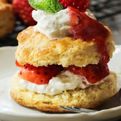 The Outdoor Apothecary strawberry shortcake