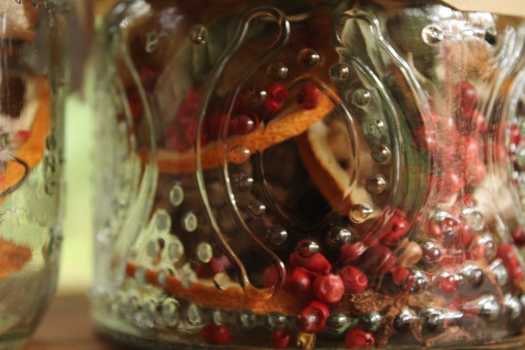 The Outdoor Apothecary diy simmer pot jars