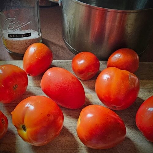 how to make tomato paste at home