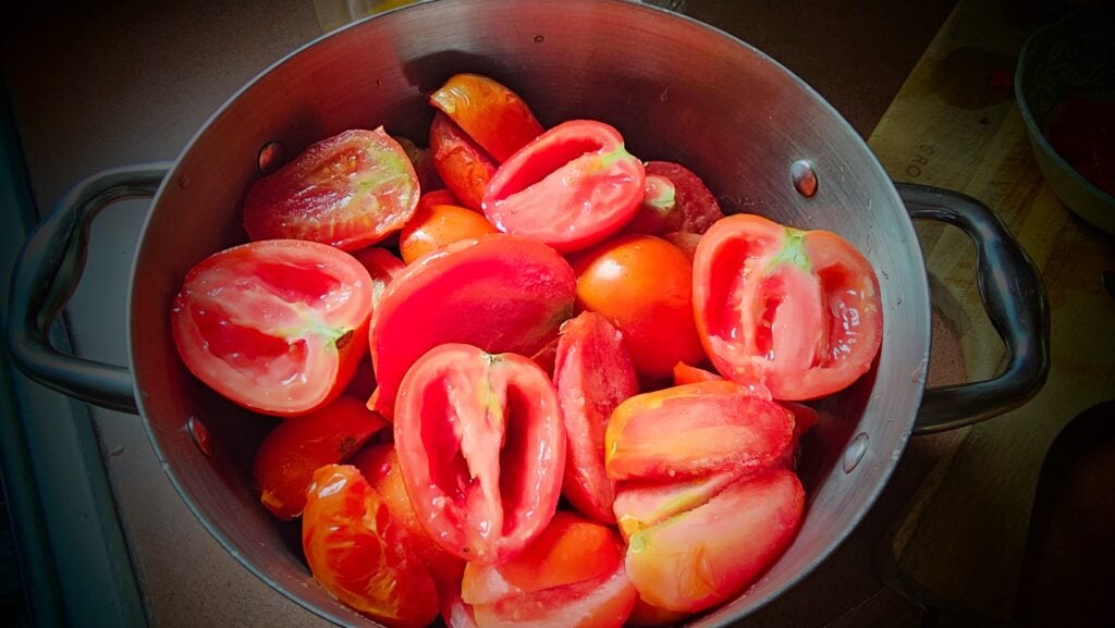 The Outdoor Apothecary how to make tomato paste at home