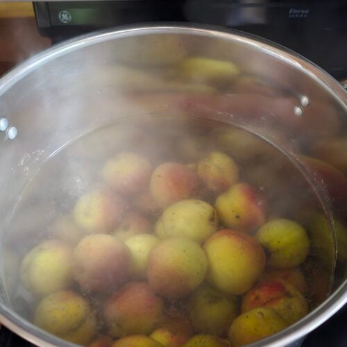 The Outdoor Apothecary how to can peaches - blanching
