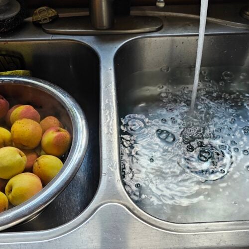 The Outdoor Apothecary how to can peaches - peaches in an ice water bath