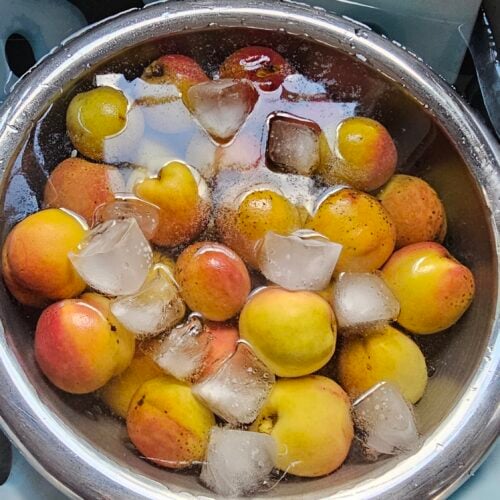 The Outdoor Apothecary how to can peaches - peaches in an ice water bath
