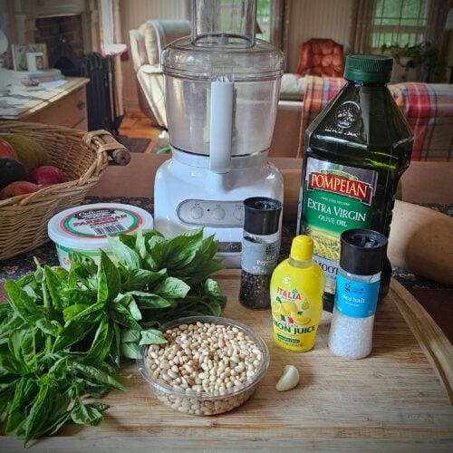 The Outdoor Apothecary How to make and freeze pesto