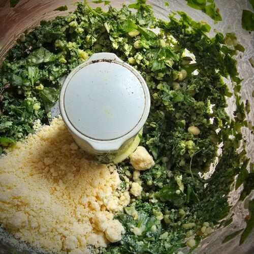 The Outdoor Apothecary How to make and freeze pesto