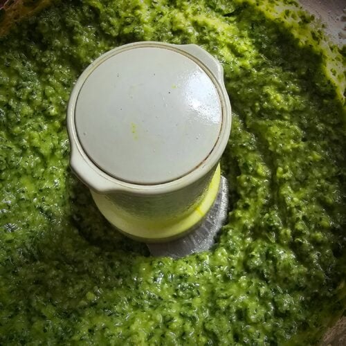 The Outdoor Apothecary How to make and freeze pesto