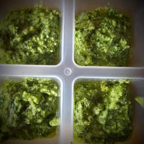 The Outdoor Apothecary How to make and freeze pesto