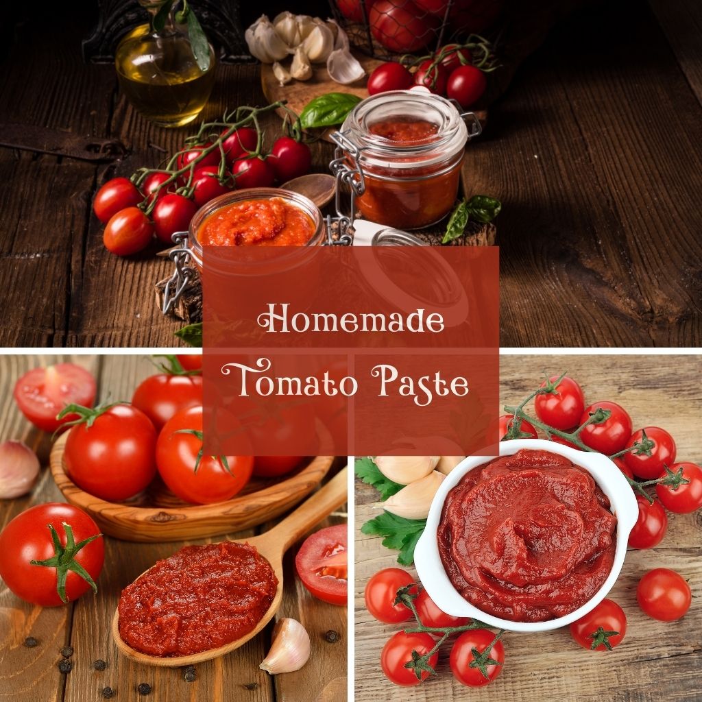 The Outdoor Apothecary health benefits of homemade tomato paste