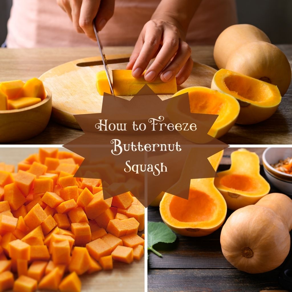 The Outdoor Apothecary freezing butternut squash