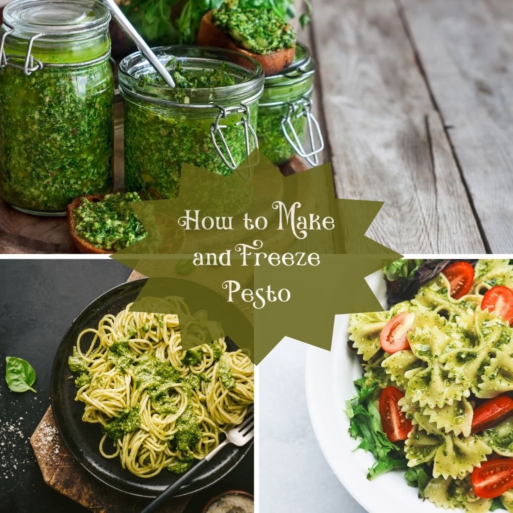 The Outdoor Apothecary How to make and freeze pesto