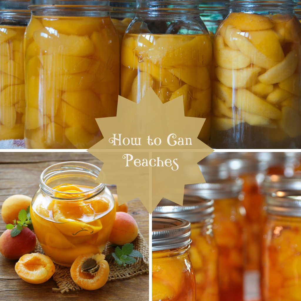 The Outdoor Apothecary how to can peaches