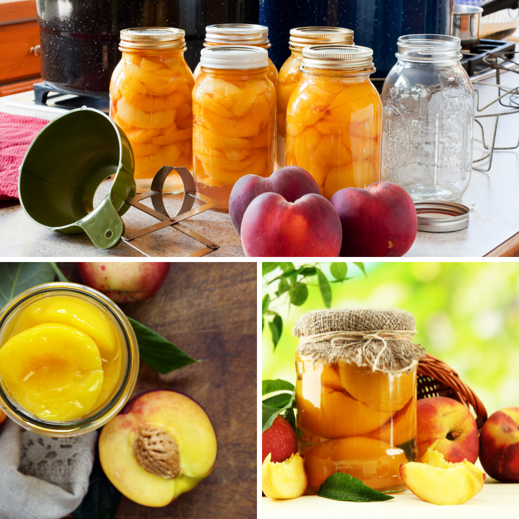 how to can peaches