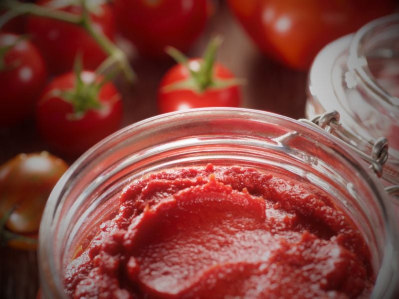 The Outdoor Apothecary how to make tomato paste at home