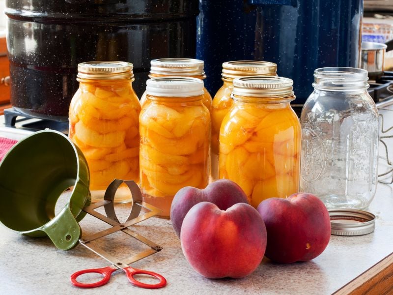 The Outdoor Apothecary how to can peaches