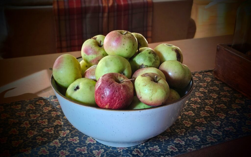 The Outdoor Apothecary canning apple pie filling