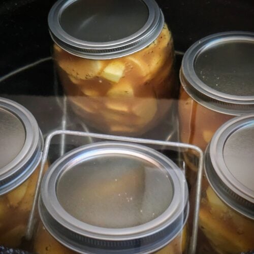 The Outdoor Apothecary canning apple pie filling