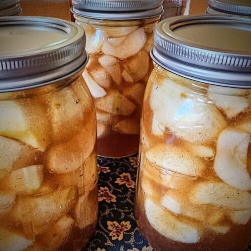 The Outdoor Apothecary canning apple pie filling