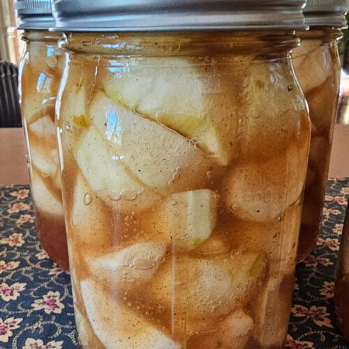 The Outdoor Apothecary canning apple pie filling