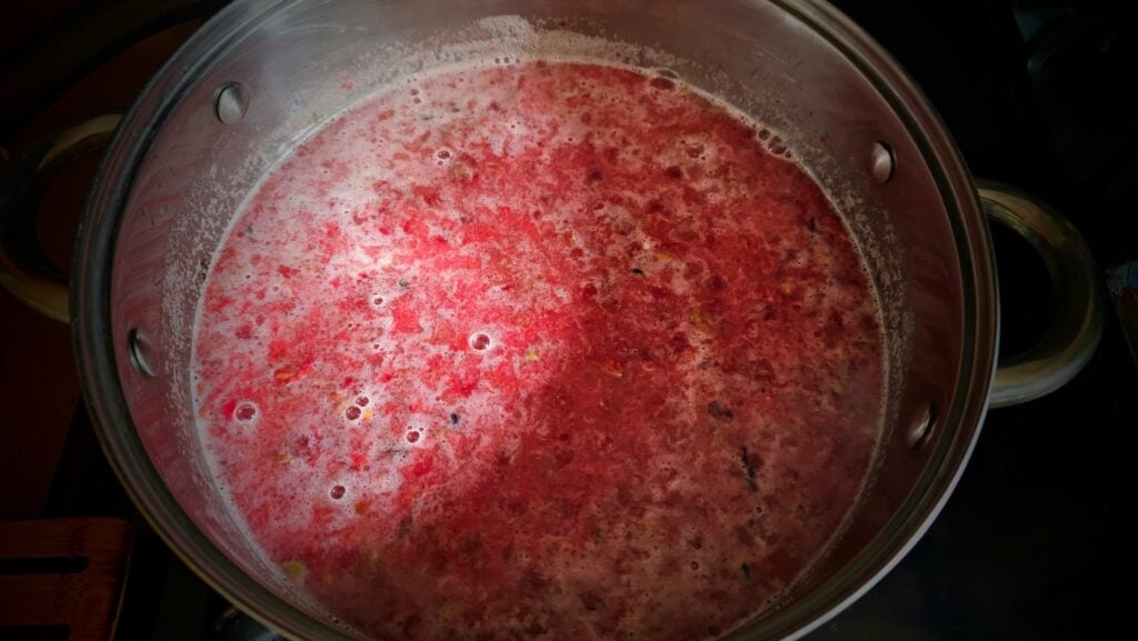 The Outdoor Apothecary Autumn Olive Jam