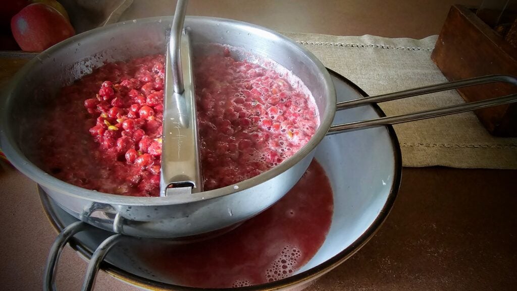 The Outdoor Apothecary autumn olive jam