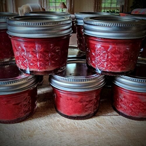 The Outdoor Apothecary autumn olive jam