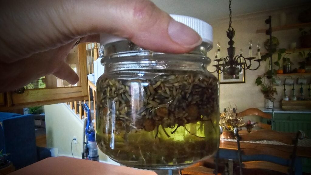 The Outdoor Apothecary Lavender Chamomile Lotion