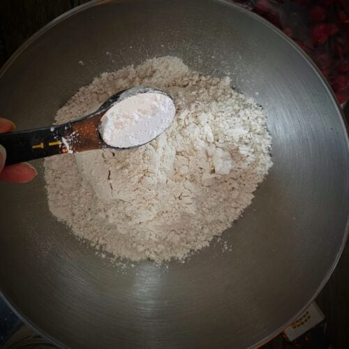 The Outdoor Apothecary cranberry orange scones