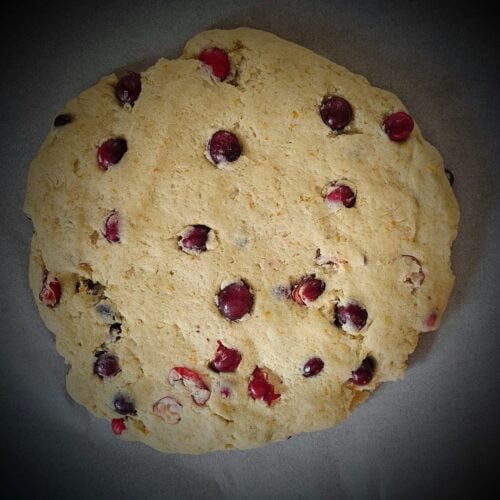 The Outdoor Apothecary cranberry orange scones
