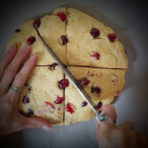 The Outdoor Apothecary cranberry orange scones