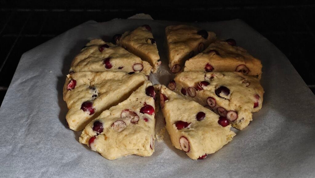 The Outdoor Apothecary cranberry orange scones