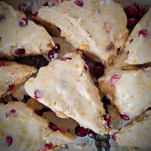 The Outdoor Apothecary cranberry orange scones