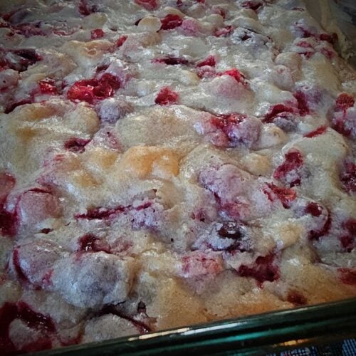 Cranberry Christmas cake