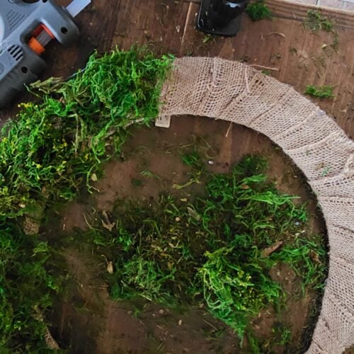 The Outdoor Apothecary crescent moon wreath