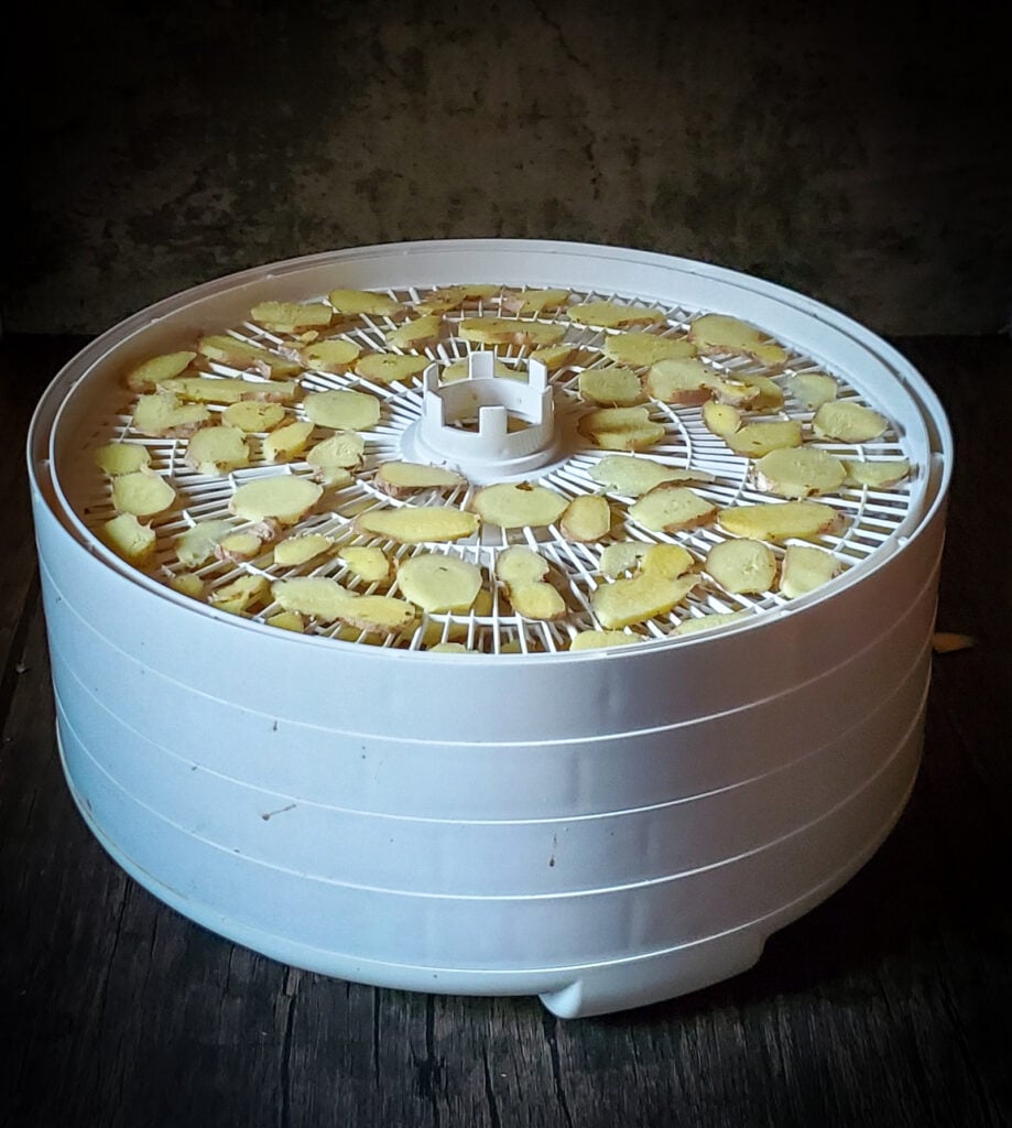 The Outdoor Apothecary Best Foods to Dehydrate: Ginger - ginger salve